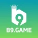 B9 Game