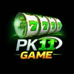 PK11 Game