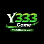 Y333 Game